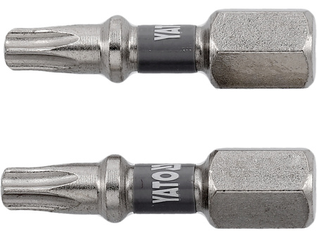 BITY 1/4"X25 MM T20 2 SZT NI