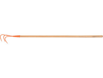 PAZURKI OGRODOWE Z TRZONKIEM