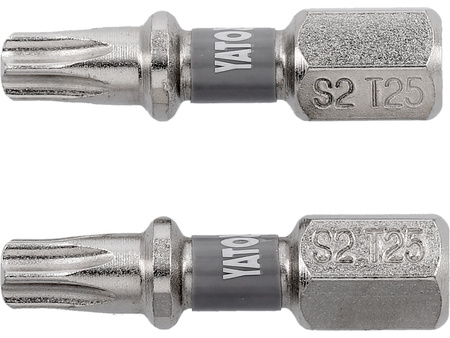 BITY 1/4"X25 MM T25 2 SZT NI