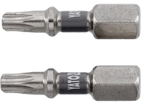 BITY 1/4"X25 MM T20 2 SZT NI
