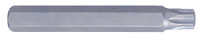 BIT 10mm TORX T55 x 80mm